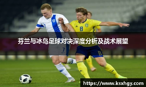 芬兰与冰岛足球对决深度分析及战术展望